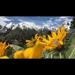 Meet your Posher, Kyndra